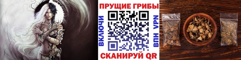 наркошоп  кракен онион  Псилоцибиновые грибы GOLDEN TEACHER  Заполярный 