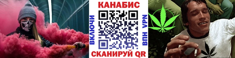 Каннабис планчик Заполярный